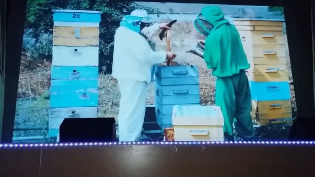 Пчеловодство.130 Лет Изготовления Вальцев Для Вощины Ломакиным В. смотреть онлайн