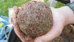 Прикормка на карася осенью своими руками. Рецепт прикормки на карася.