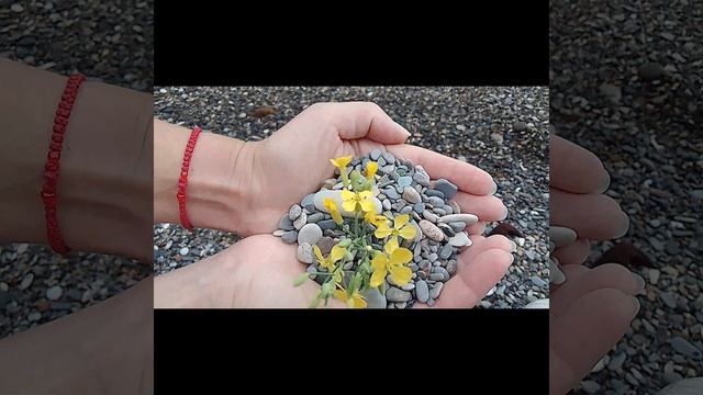 Природа.Море.Путешествия.