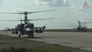 "Аллигаторы" в деле