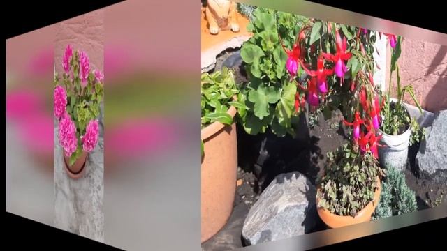 ? Ответы на вопросы в одном видео? смотреть онлайн