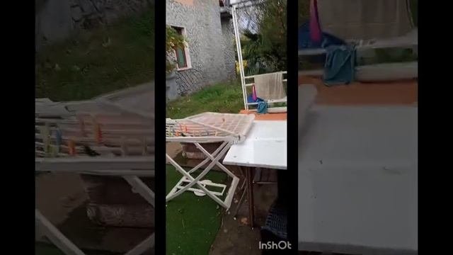 коты Сардинии? часть7.?Муська влюбилась ???♀️  #котики #смешныеживотные