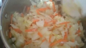Бигус или капуста тушенная с куриным мясом.