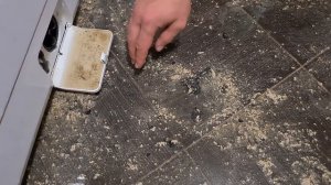 БЕРЕГИТЕ СТИРАЛЬНЫЕ МАШИНЫ! Что делать, если стиральная машина не отжимает, не сливает воду? ЧИСТКА