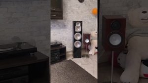 Monitor audio silver rx1