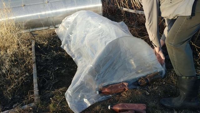 Как я готовил парник под редиску и что из этого вышло.