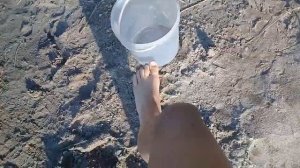 Рыбалка в Завьялово оз. Кривое. Карась клюет как из пулемёта