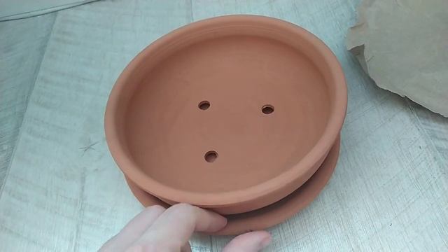 TOPSTO-CRIMEA.RU Кашпо для кактусов и суккулентов «Бонсайница», Ø 20 см 5162998 смотреть онлайн