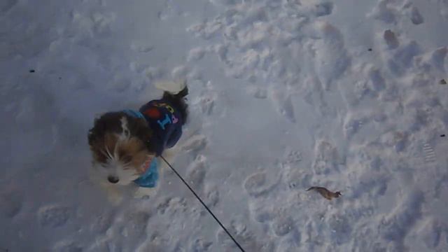 P1090014 смотреть онлайн