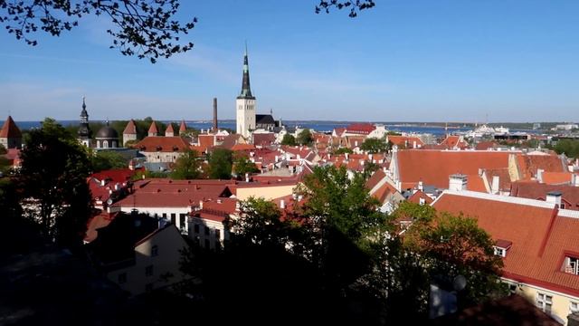СТАРЫЙ ТАЛЛИНН. ЛЮБИМЫЕ КАФЕ. ЭСТОНИЯ