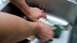 Чистилка для рыбы