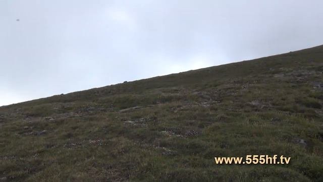 КАМЧАТКА. Охота на снежного барана. Часть 1.