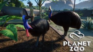 Planet Zoo S2 E5 - Вольер для Шлемоносных казуаров