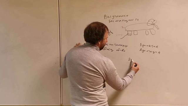 Эффект Слоненка и большая ложь психологии. Почему побег в свободу не работает. смотреть онлайн