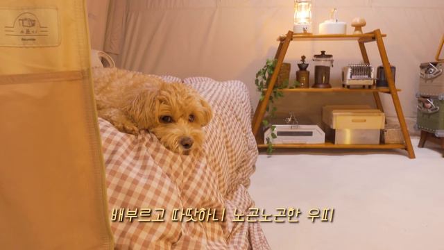 ❄️눈이 소복이 쌓인 조용한 숲속 따뜻한 에어텐트 | 편백찜에 소주한잔 | 붕어빵만들어먹고 ☃️눈사람 만들기
