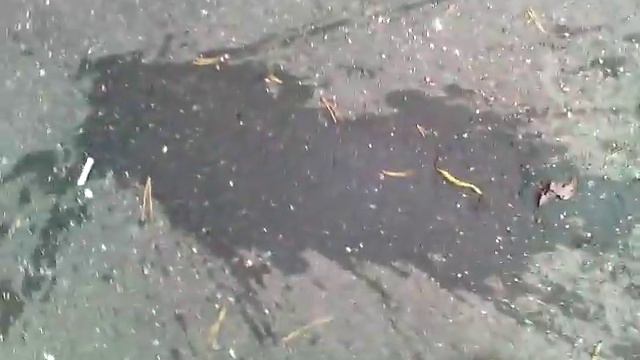 ЧТО БУДЕТ ЕСЛИ КИНУТЬ БУТЫЛКУ С 7-ОГО ЭТАЖА смотреть онлайн