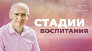 Атмосфера в доме, развитие уважения как этапы гармоничного воспитания детей (Торсунов О. Г.)