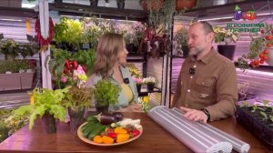 ВЫБИРАЕМ ФИТОСВЕТИЛЬНИК ПРАВИЛЬНО