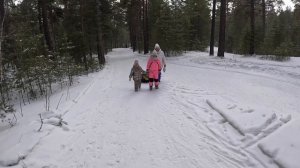 Прогулка с детьми по зимнему бору