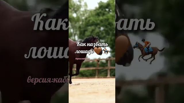 Как назвать лошадь.А вы как думаете#тренд#конныймир#рек#equestrian#конники#лошади#тикток#hors #трен