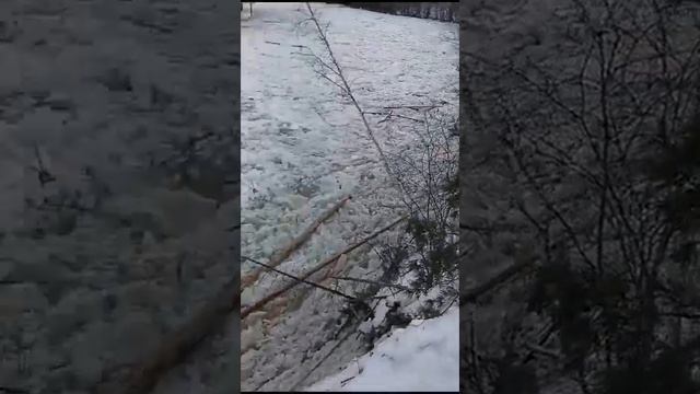 Сюрприз природы (охренеть)