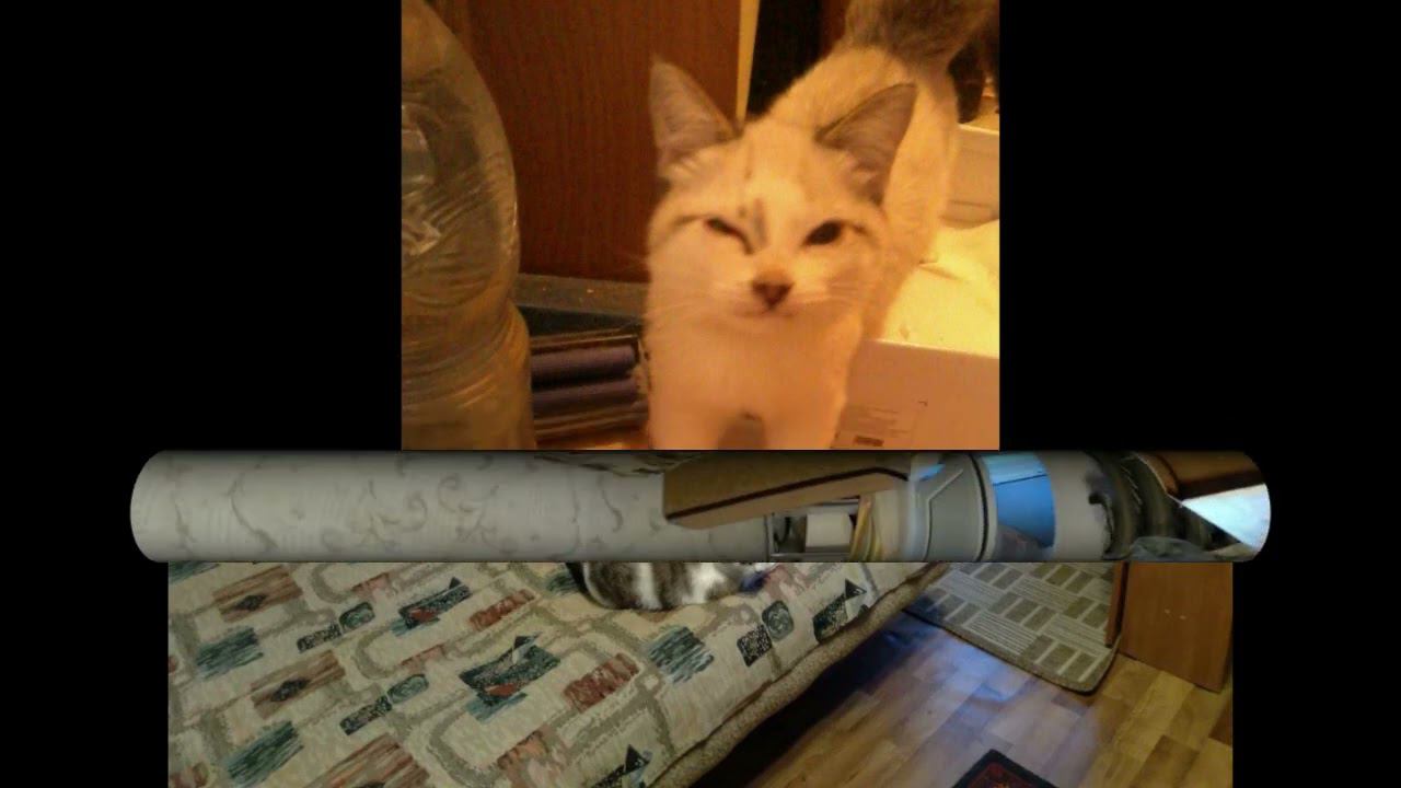 МУРЗИК ОХОТНИК смотреть онлайн