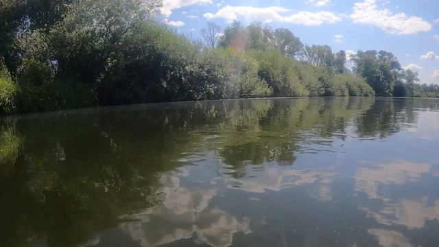 Летом на зимнюю удочку? Ловля мирной рыбы. смотреть онлайн