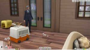 Челлендж 100 детей в Sims 4(изменила правила)