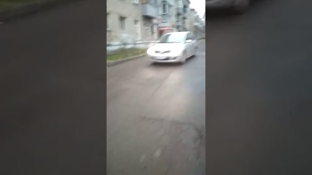 Там лоси водятся