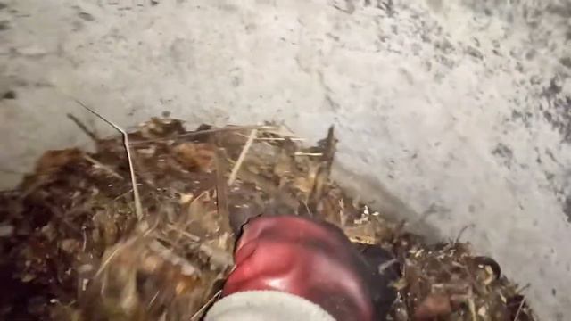 Топлю всякой х смесью, экономлю дрова 24 февраля 2022 г. смотреть онлайн