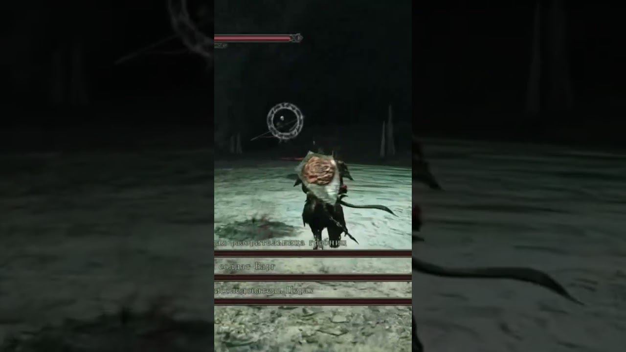 Босс в Dark Souls 2, сразу 3 нпс. #mrcatgame #darksouls2 #темныедуши2