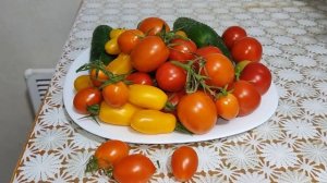 Выращиваю Помидоры и Огурцы в Городской Квартире. Обзор Огорода на Балконе 2022.