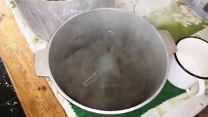 Даже ребенок справится//Маринованные огурчики.