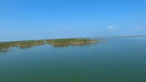 Рыбалка на спиннинг, озеро ЧАНЫ Новосибирск. День второй