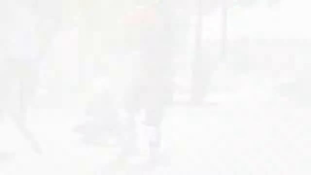 СКЕЙТШКОЛА смотреть онлайн