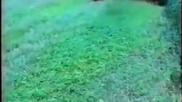 Комбайн роторный прицепной КРП-2,0 "Рось 2" смотреть онлайн