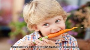 Секреты правильного употребления моркови, чтобы она лучше усваивалась