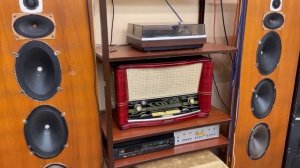 Акустическая система типа "щит". Стерео Фестиваль