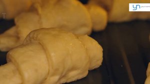 Cosori Pro LE 4.7L Air Fryer | Your Normal Online Store