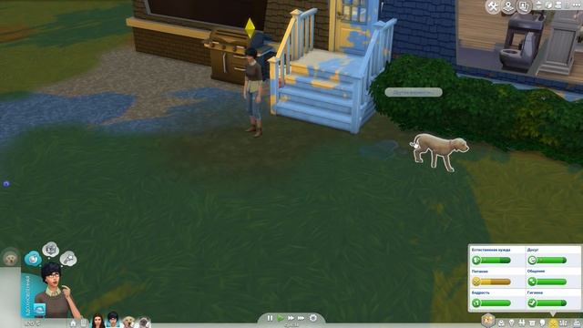 The Sims 4 Кошки и собаки #5 Скоро будут котята? смотреть онлайн