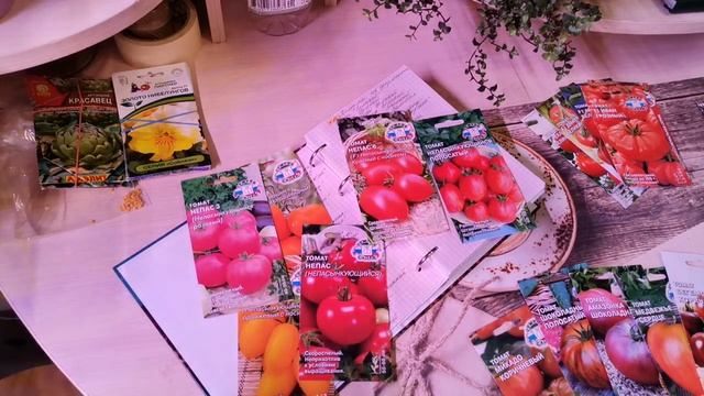Урожай без рассады - миф или реальность. Томаты "Непас" от СеДек - штамбовые деты для ОГ без хлопот смотреть онлайн