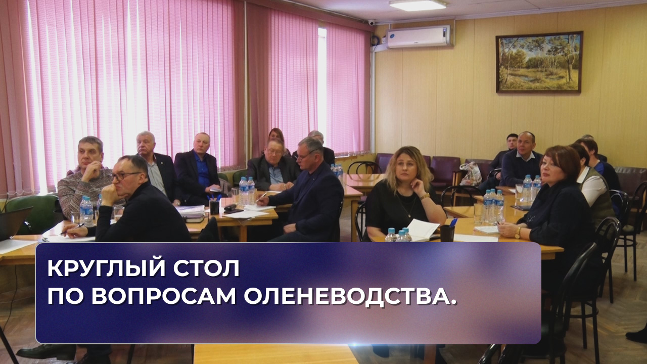 Круглый стол по вопросам оленеводства.