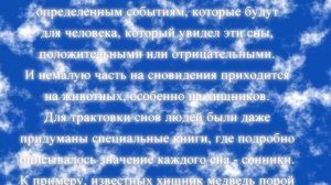 К чему снятся медведи по соннику онлайн?