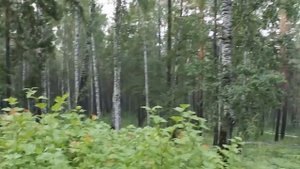 Экстремальный аттракцион "Родельбан" без тормозов (Есть нецензурная лексика +18)
