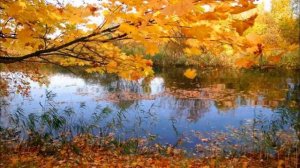 Сентябрь- В. Бианки