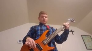 Shut Your Mouth - Pain (Bass Cover)
