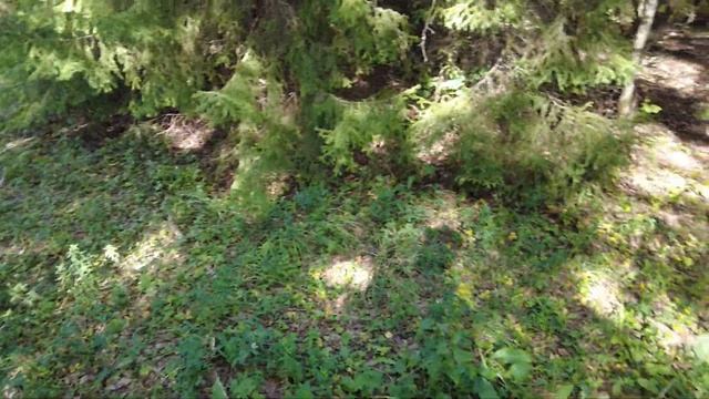 Путешествие по России часть 2. Киров-Пермь-Екатеринбург #16 смотреть онлайн