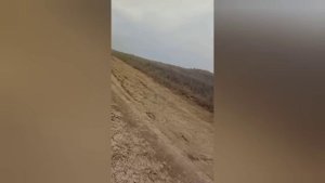 Будни зерновоза, В гостях у Малыша, конец уборке.