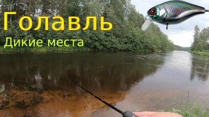 За голавлем в дикие места. 1 часть