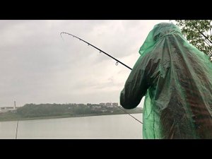 Ловля ЛЕЩА в Ливень Рыбалка на фидер в МАЕ в Дождь
